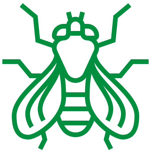 Flies Control