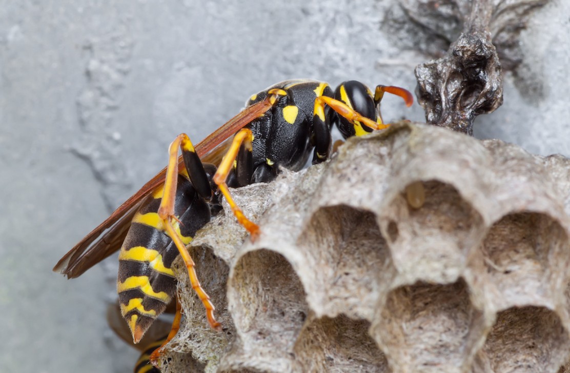 1757564919761806.jpg ws2.jpg