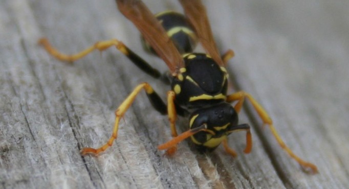 1757564945224824.jpg Screenshot 2025-09-11 142321.jpg